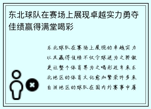 东北球队在赛场上展现卓越实力勇夺佳绩赢得满堂喝彩