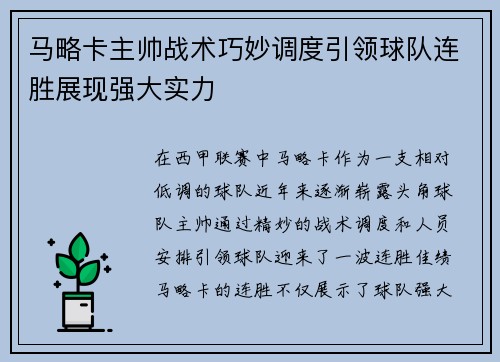 马略卡主帅战术巧妙调度引领球队连胜展现强大实力