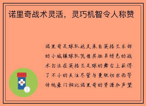 诺里奇战术灵活，灵巧机智令人称赞